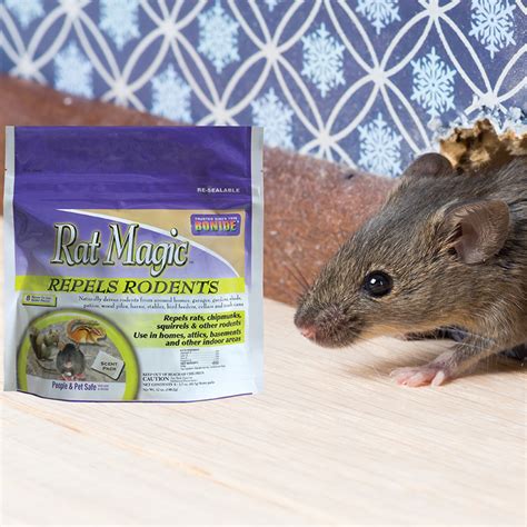 Rat magic repellent vs. traditional methods: Which is more effective?